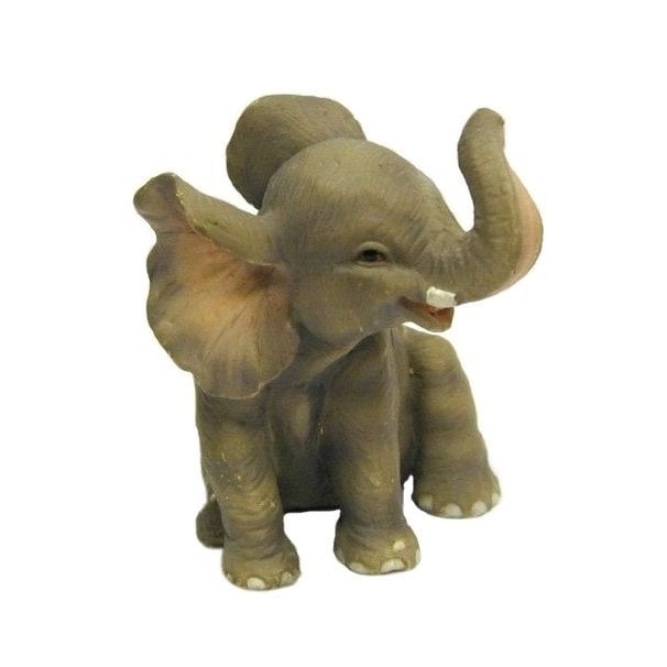 Yavru Fil Biblosu - Veronese Design