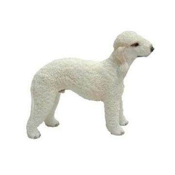 Terrier Köpek Biblo - Veronese Design