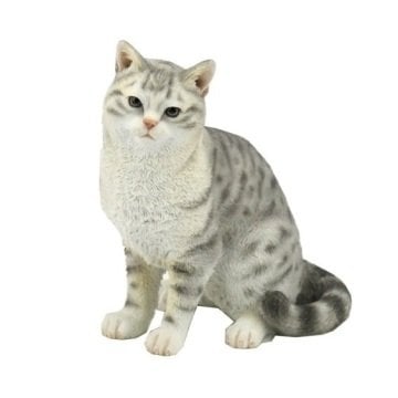 Kedi Biblo - Veronese Design