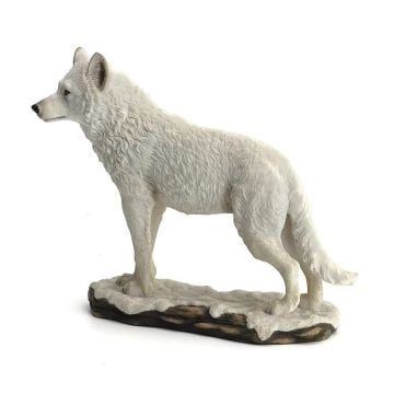 Beyaz Kurt Biblo - Veronese Design