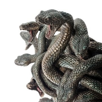 Dişi Canavar Medusa Duvar Biblosu - Veronese Design