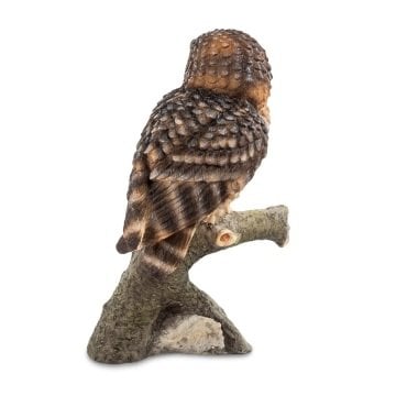 Baykuş Biblo - Veronese Design