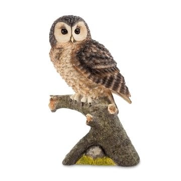 Baykuş Biblo - Veronese Design