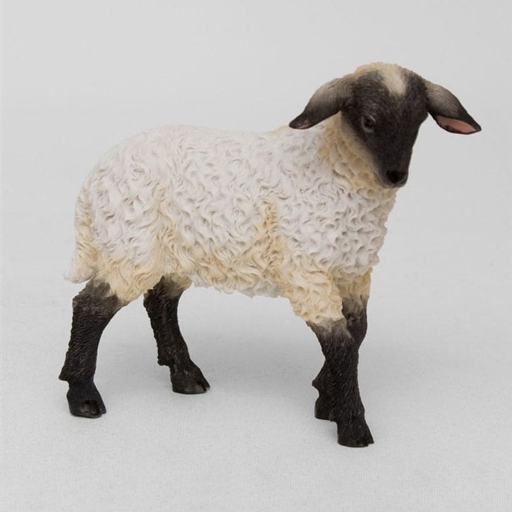 Kuzu Biblo - Veronese Design