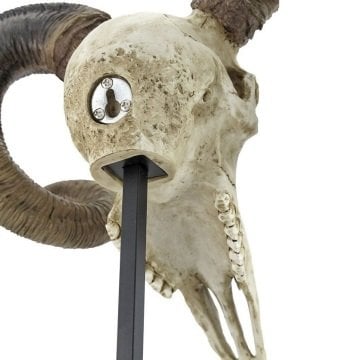 Büyük Boynuzlu Koç Kuru Kafası - Veronese Design