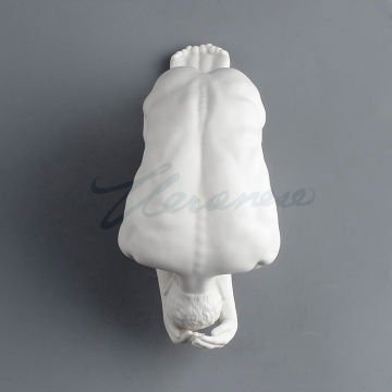 Erkek Body Biblo - Veronese Design