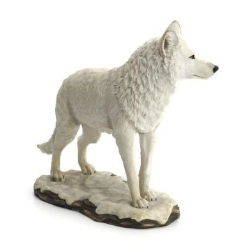 Beyaz Kurt Biblo - Veronese Design