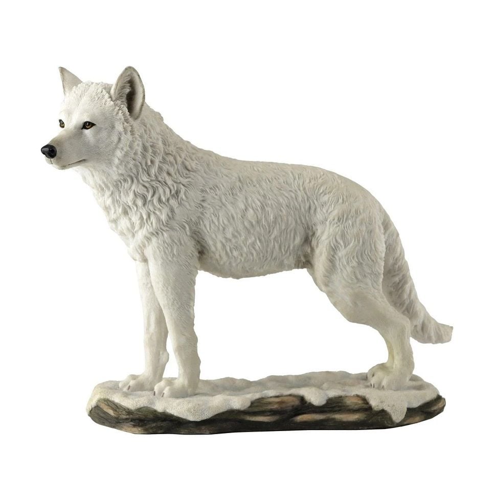 Beyaz Kurt Biblo - Veronese Design