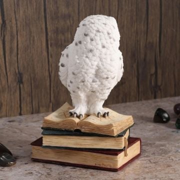 Kar Baykuşu Biblosu - Veronese Design