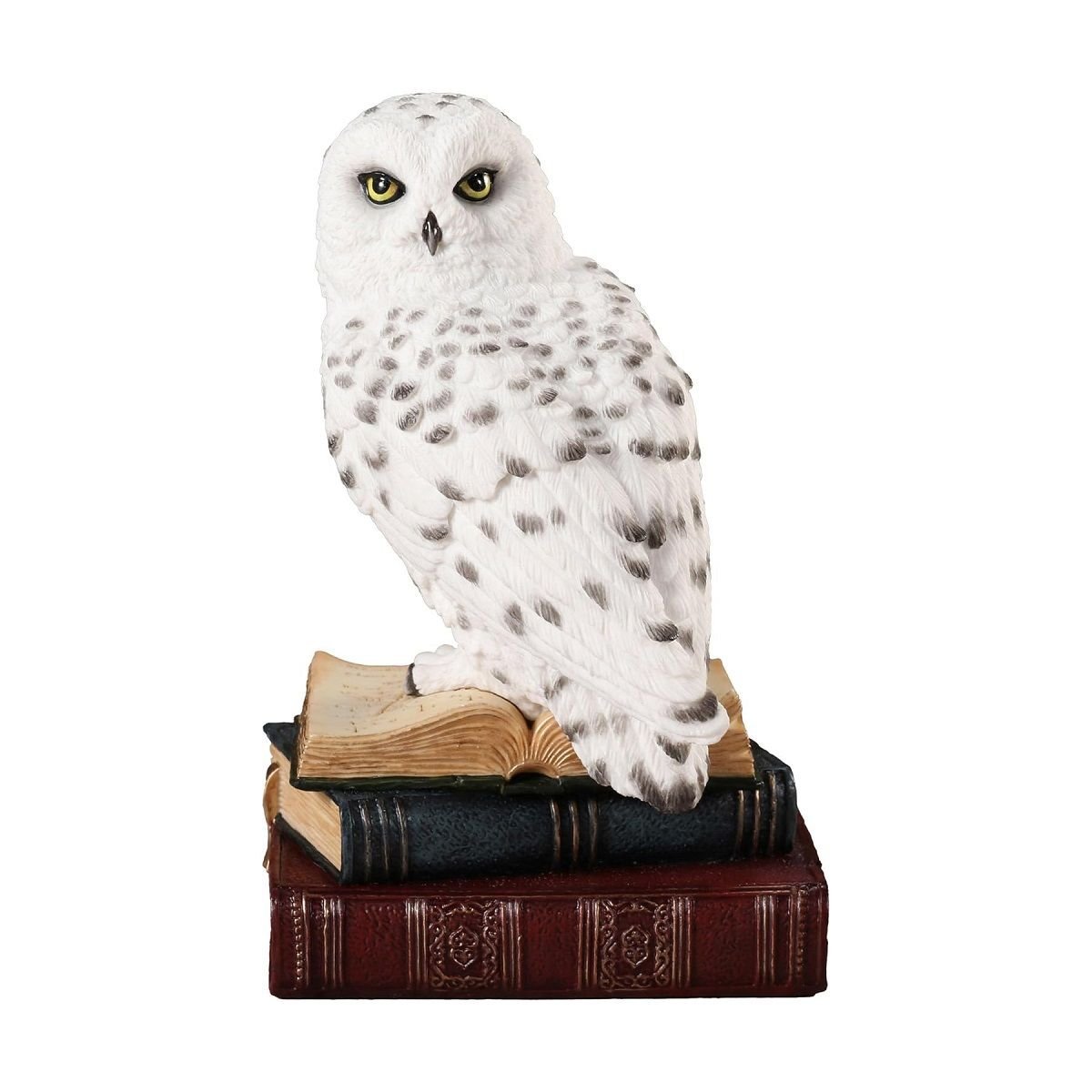 Kar Baykuşu Biblosu - Veronese Design