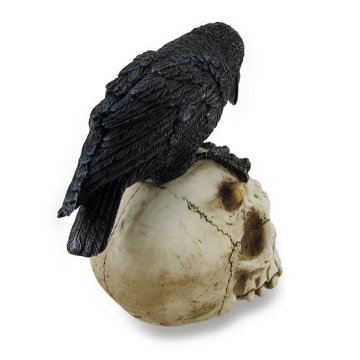 Kuru Kafa ve Karga - Veronese Design